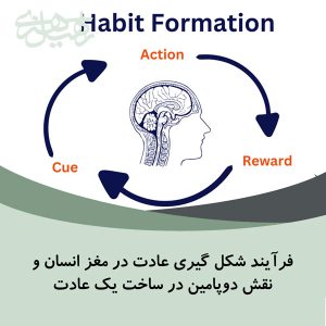 فرآیند شگل گیری عادت