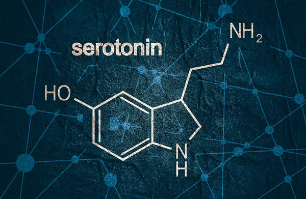 هورمون سروتونین